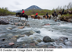 Reiten in Nordschweden