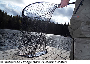 Fischer in Westschweden